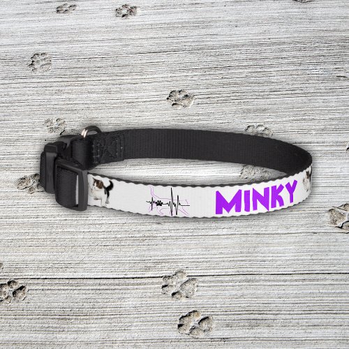 Personalized Pet Name with Image   Pet Collar