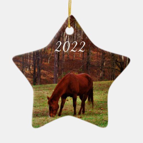 Personalized Pet or Horse Photo Year Christmas Ceramic Ornament
