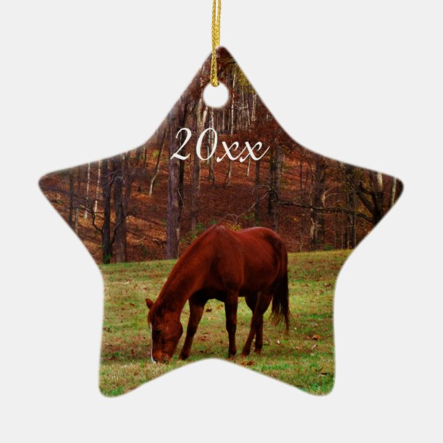 Personalized Pet or Horse Photo Year Christmas Ceramic Ornament (Front)