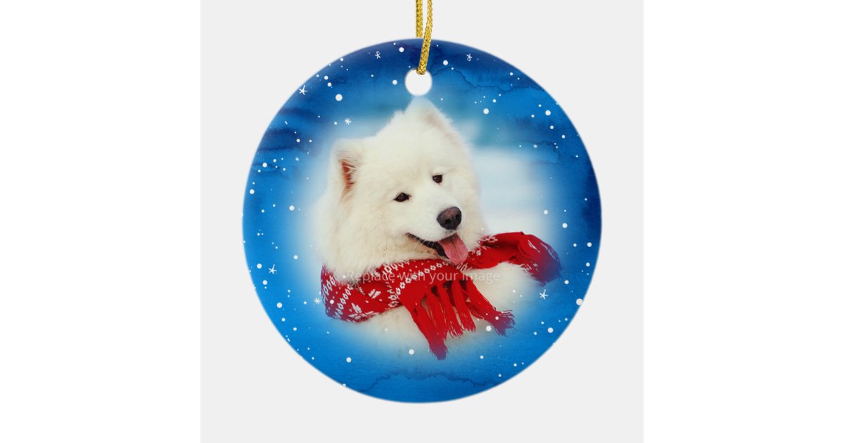 Personalized Pet Ornaments | Photo Christmas | Zazzle