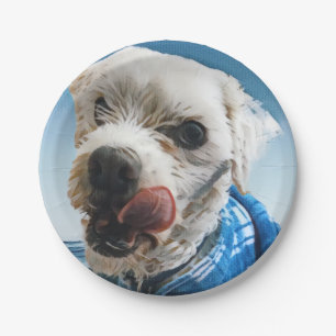 Personalized pet party paper plate, pet theme plates