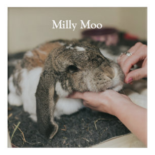  Personalized Pet Photo  Acrylic Print