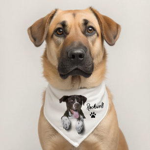 Personalized Pet Photo And Name Dog Bandana Collar