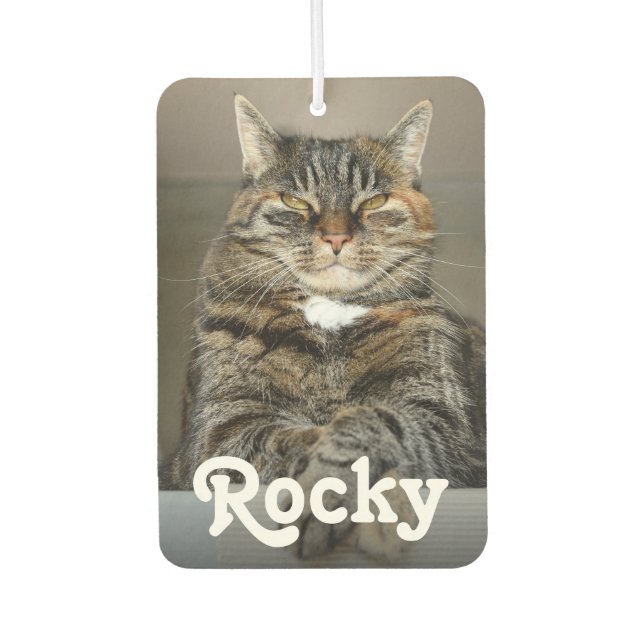 Personalized Pet Photo and Name Double-Sided Car Air Freshener (Front)