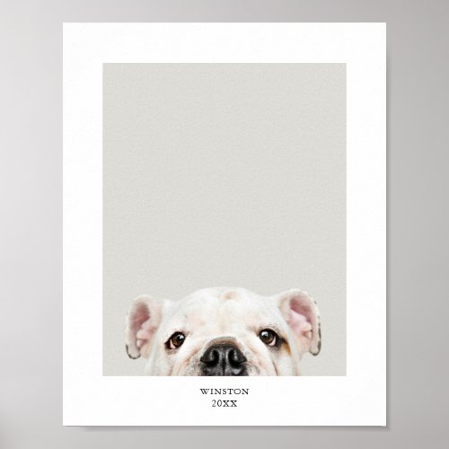 Personalized Pet Photo and Name Print