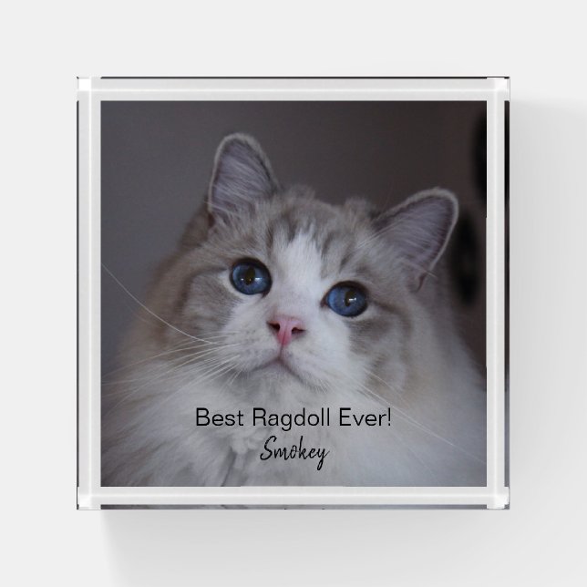Personalized Pet Photo Best Ragdoll Cat Ever Paperweight (Front)