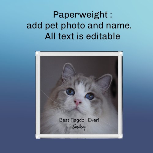 Personalized Pet Photo Best Ragdoll Cat Ever Paperweight