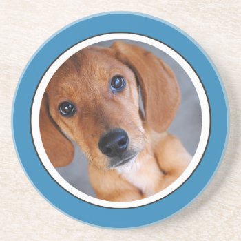 Personalized Pet Photo Blue Frame Coaster by AllyJCat at Zazzle