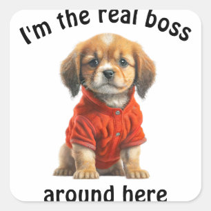 Personalized Pet Photo Boss Dog Square Sticker