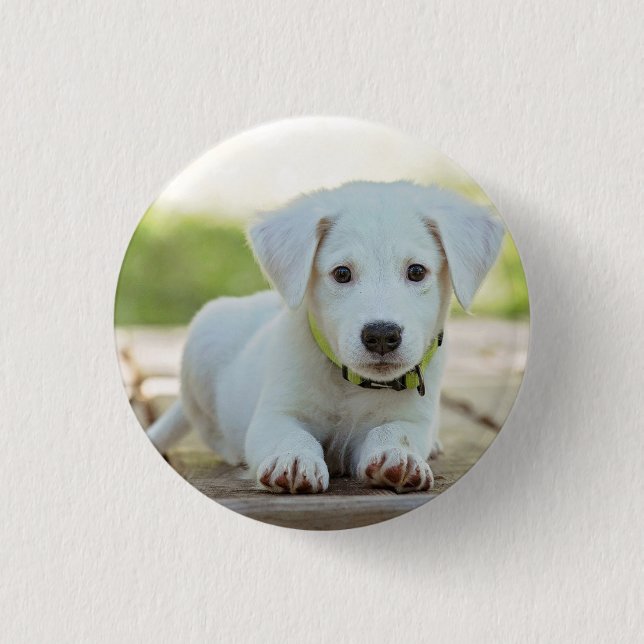 Personalized Pet Photo  Button (Front)