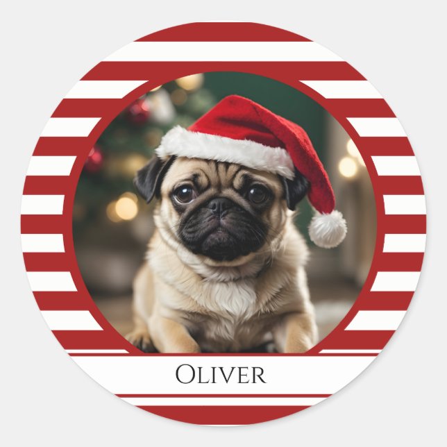 Personalized Pet Photo Candy Cane Red Stripes Classic Round Sticker (Front)