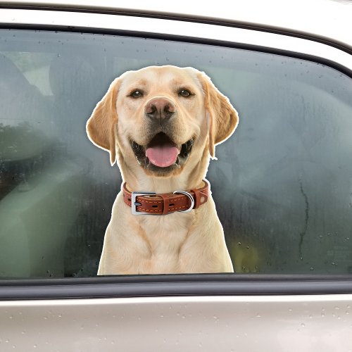 Personalized Pet Photo Car Window Sticker