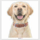 Personalized Pet Photo Car Window Sticker