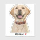 Personalized Pet Photo Car Window Sticker
