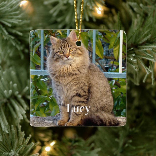 Personalized Pet Photo Cat Lover And Name Ceramic Ornament (Tree)
