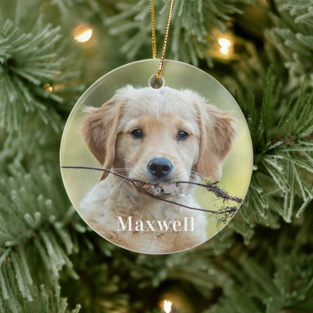Personalized Pet Photo Christmas Ceramic Ornament (Tree)