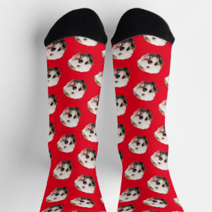Personalized Pet Photo Christmas Present Socks