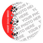 Personalized Pet Photo Classic Round Sticker
