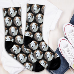 Personalized Pet Photo Collage Dog  Socks