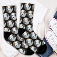 Personalized Pet Photo Collage Dog  Socks at Zazzle