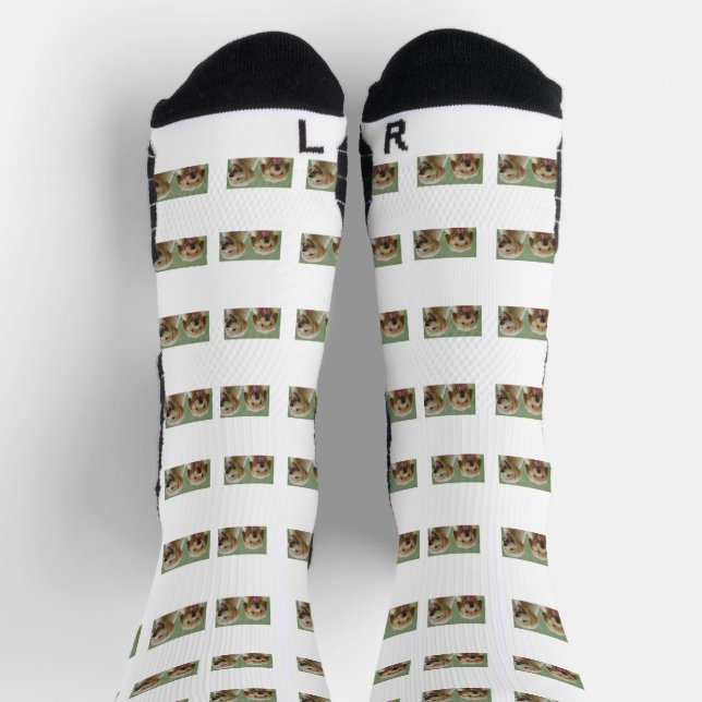 Personalized Pet Photo Collage Socks (Top)