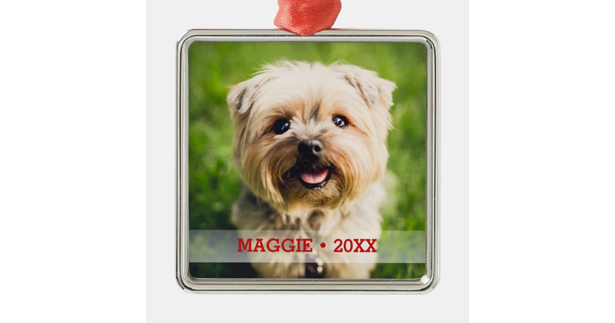 Personalized Pet Photo Cute Special Christmas Tree Metal Ornament | Zazzle