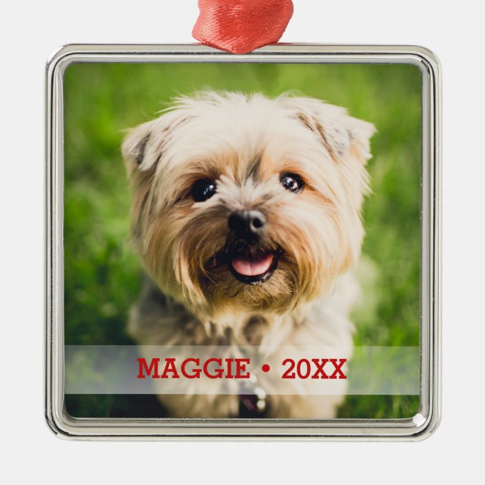 Personalized Pet Photo Cute Special Christmas Tree Metal Ornament Zazzle Com