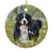 Personalized Pet Photo Dog Lover Puppy Christmas