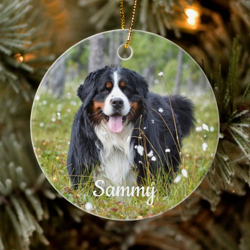 Personalized Pet Photo Dog Lover Puppy Christmas Ceramic Ornament