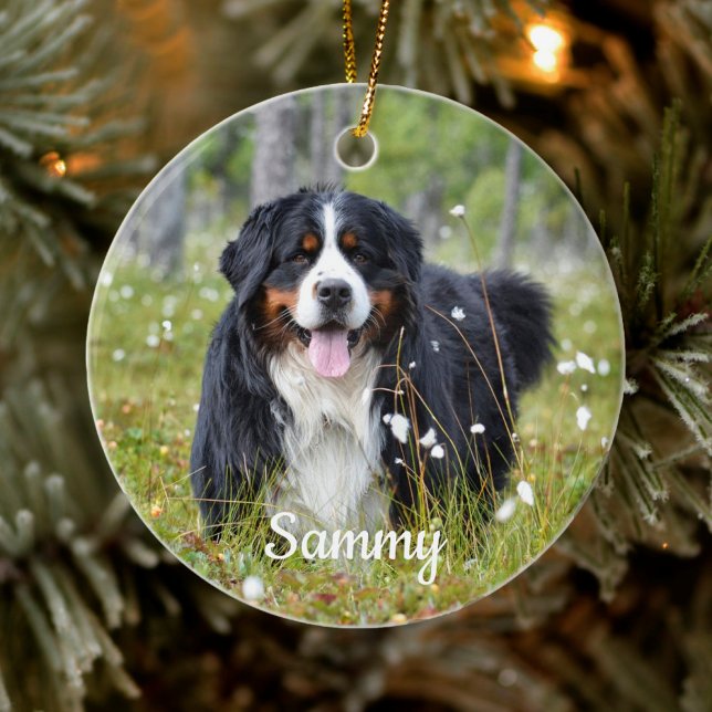 Personalized Pet Photo Dog Lover Puppy Christmas Ceramic Ornament (Creator Uploaded)