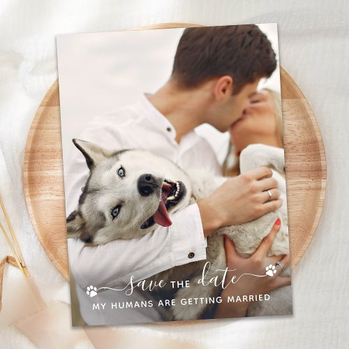 Personalized Pet Photo Dog Wedding Save The Date Announcement Postcard