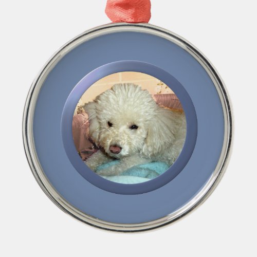 Personalized Pet Photo Frame Blue Metal Ornament