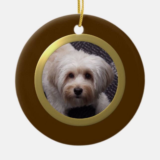 Personalized Pet Photo Frame (Brown/Gold) Ceramic Ornament (Front)