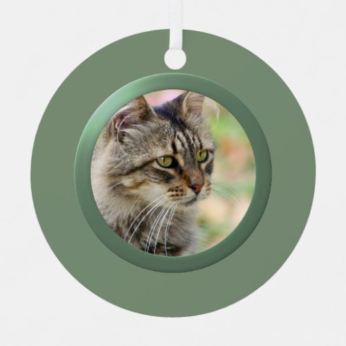 Personalized Pet Photo Frame Green Metal Ornament