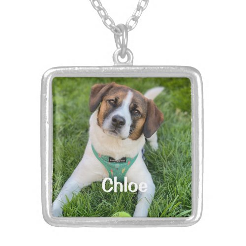 Personalized Pet Photo Gift for Her Silver Plated Necklace