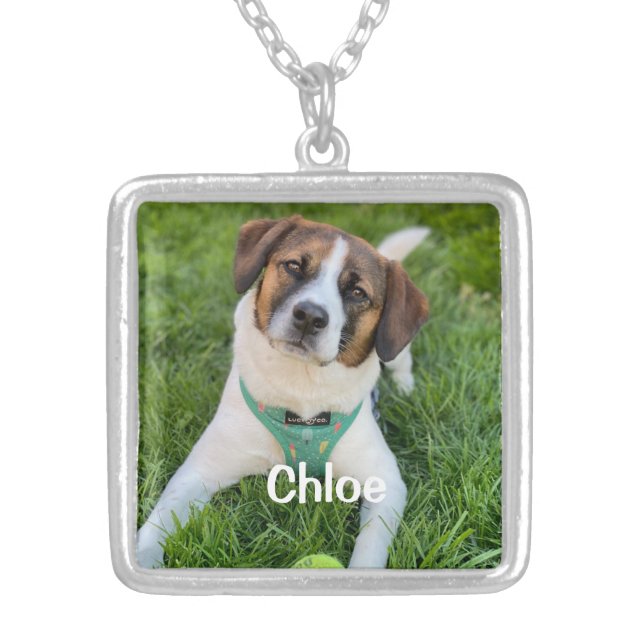 Personalized Pet Photo Gift for Her Silver Plated Necklace (Front)
