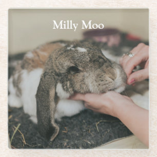 Personalized Pet Photo Glass Coaster