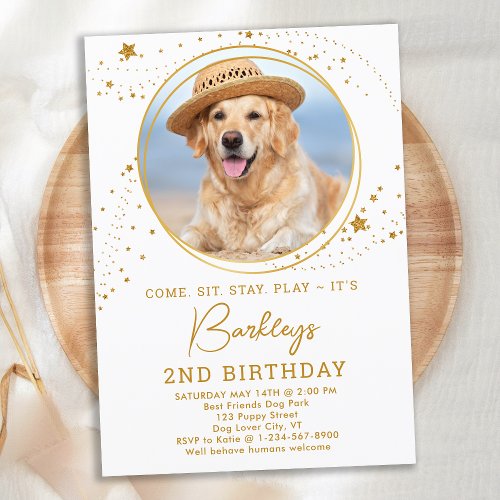 Personalized Pet Photo Gold Stars Dog Birthday  Invitation