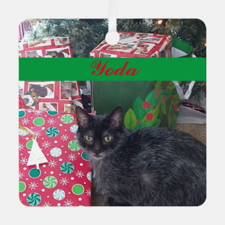 Personalized Pet Photo Green Red Simple Metal Ornament