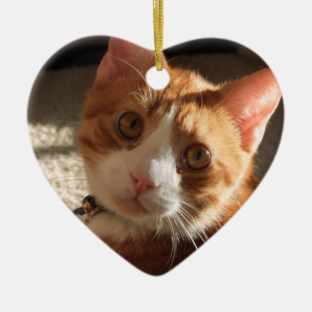Personalized Pet Photo Heart Ornament (Front)