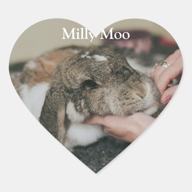  Personalized Pet Photo  Heart Sticker (Front)