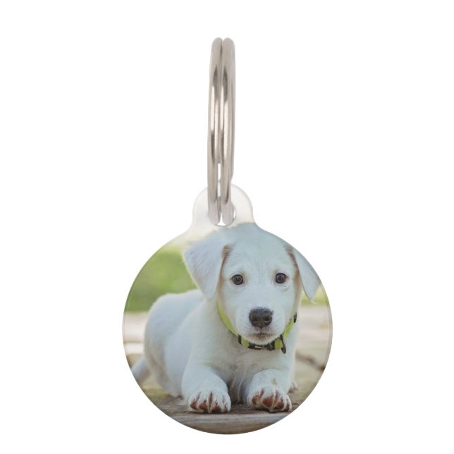Personalized Pet Photo   ID Tag (Front)