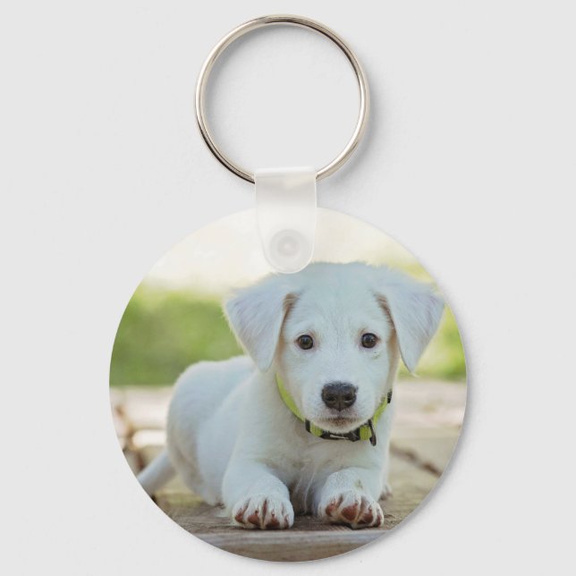Personalized Pet Photo  Keychain (Front)