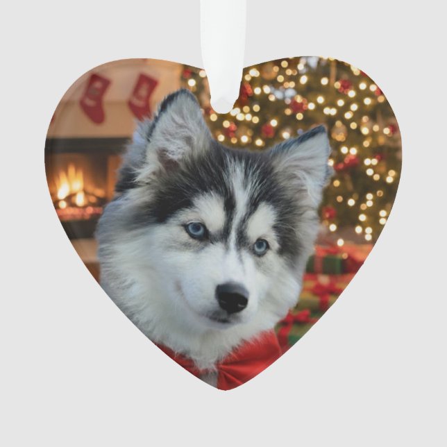 Personalized Pet Photo "Love" Gold Glitter Ornament (Front)