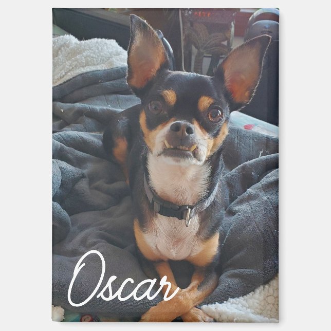 Personalized Pet Photo Magnet (Front)