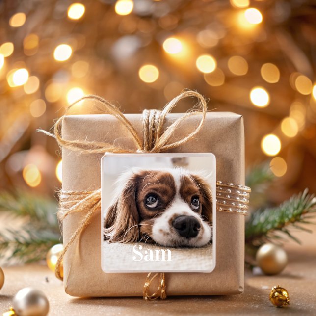 Personalized pet photo name Square Sticker (Creator Uploaded)