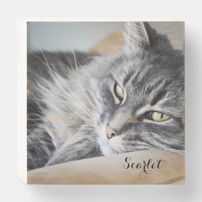 Personalized Pet Photo or Memorial Wooden Box Sign (Front Horizontal)