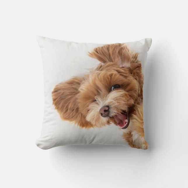 Personalized Pet Photo, Paw & Name Throw Pillow (Front)