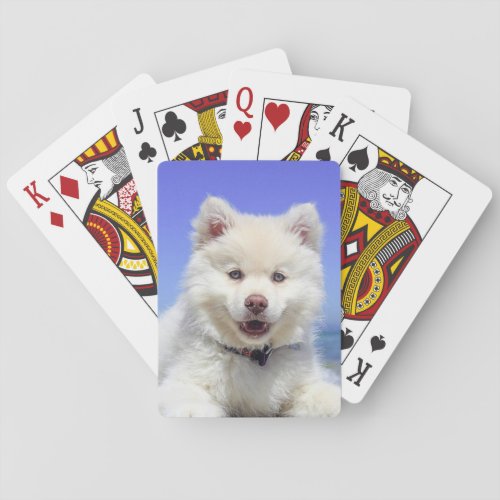 Personalized Pet Photo Playing Cards
