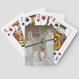 Personalized Pet Photo Playing Cards